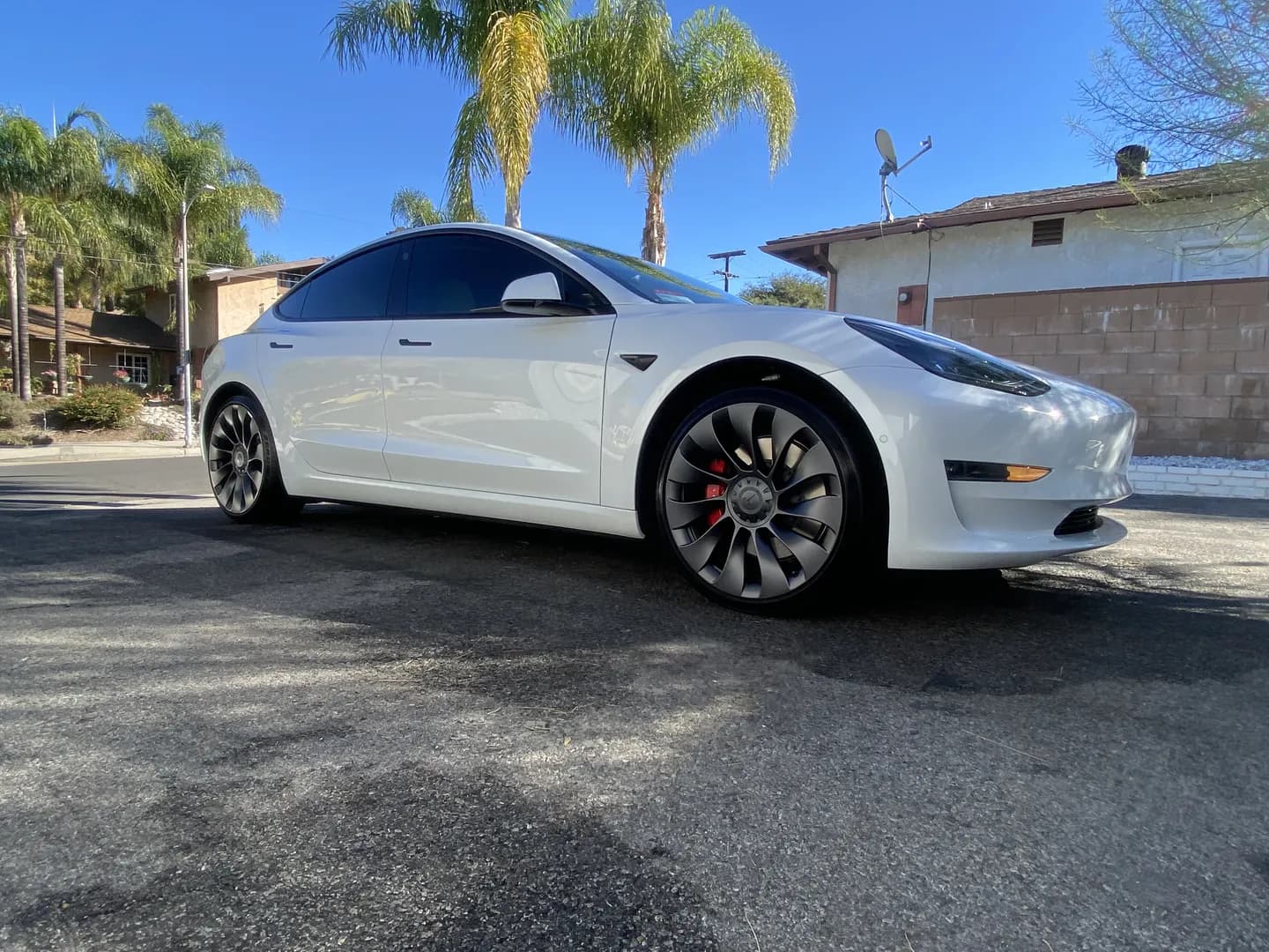 White Tesla Model 3 freshly detailed on a palm-lined street